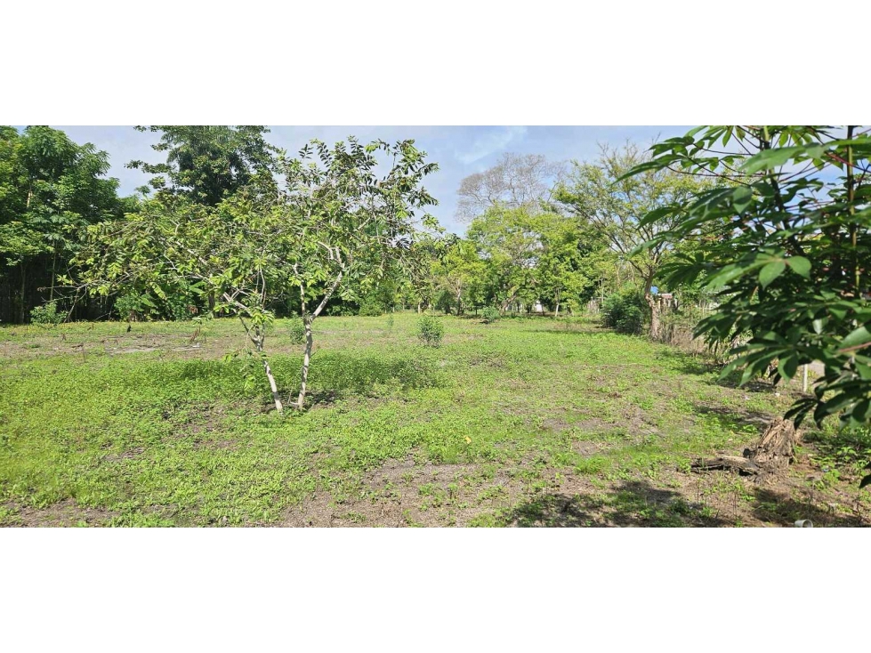 VENDO.LOTE DE 2041 M EN ALANJE - 4