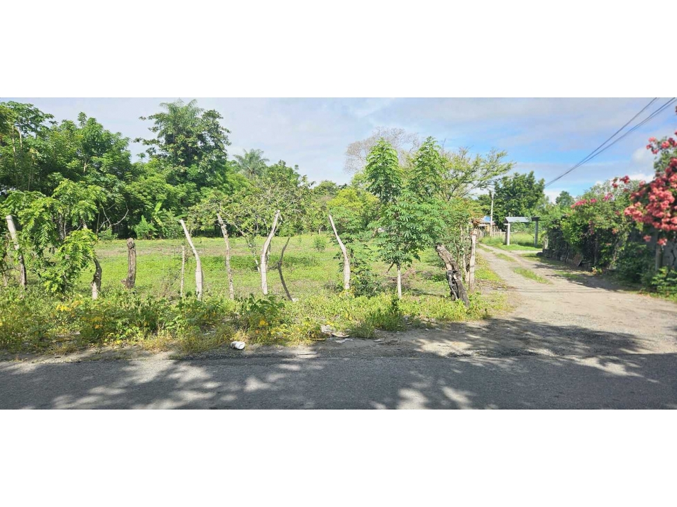 VENDO.LOTE DE 2041 M EN ALANJE - 5