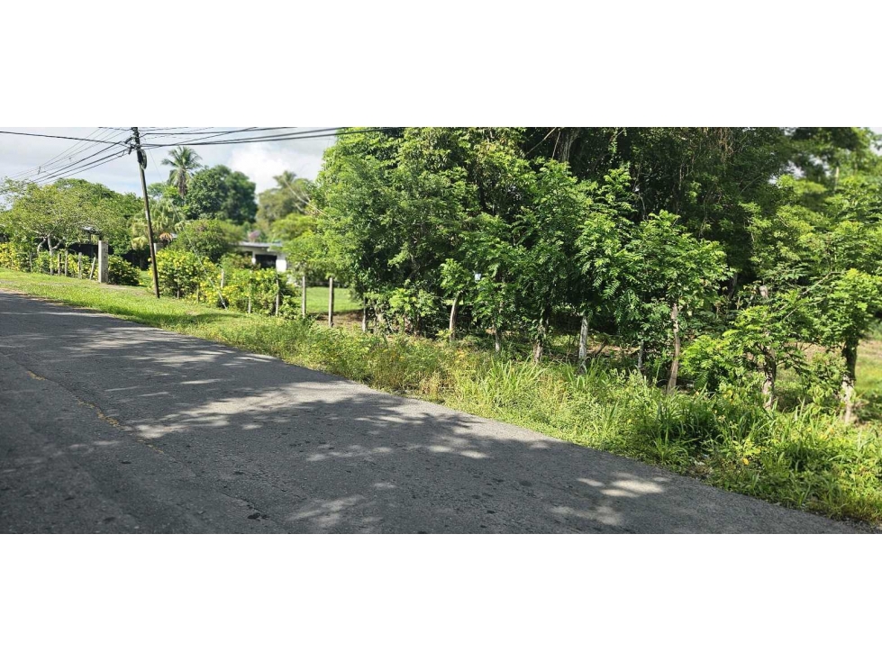 VENDO.LOTE DE 2041 M EN ALANJE - 6
