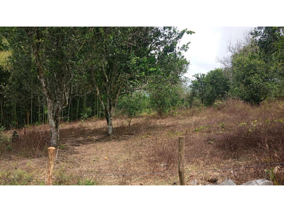VENDO.LOTE DE 5676mts2 Bongo - 1