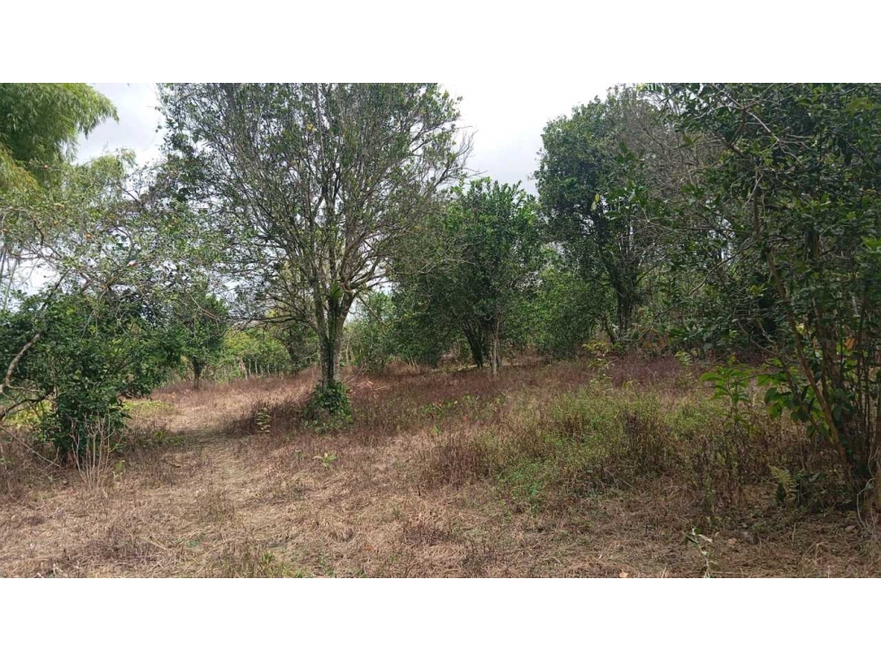 VENDO.LOTE DE 5676mts2 Bongo - 3