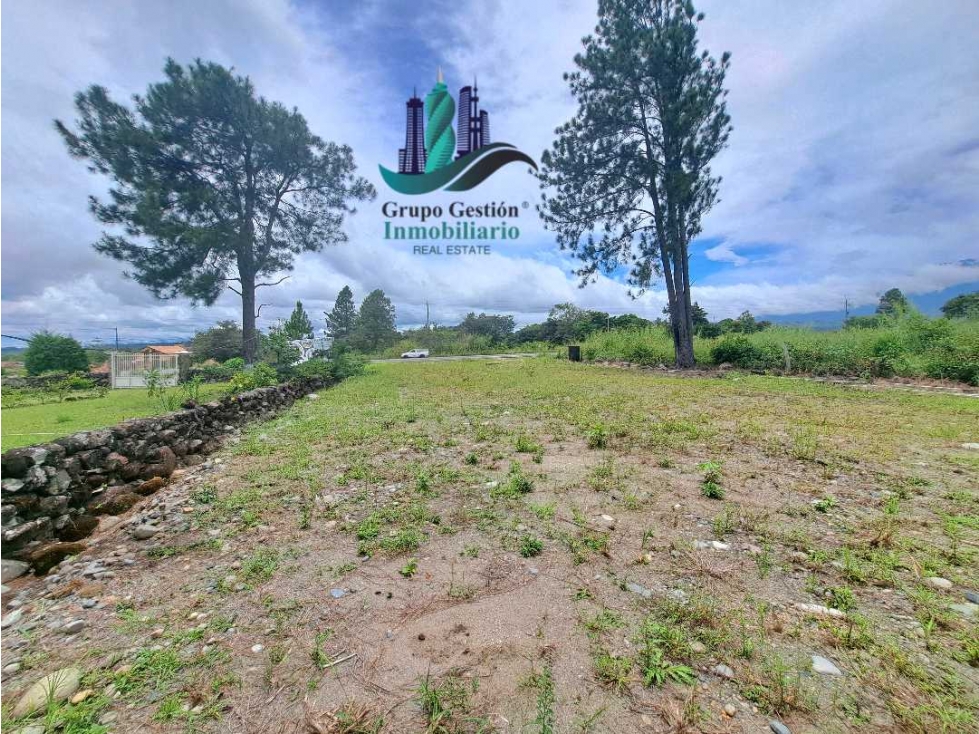 VENDO.LOTE COMERICIAL 813mts CALLE PRINCIPAL -Las trancas