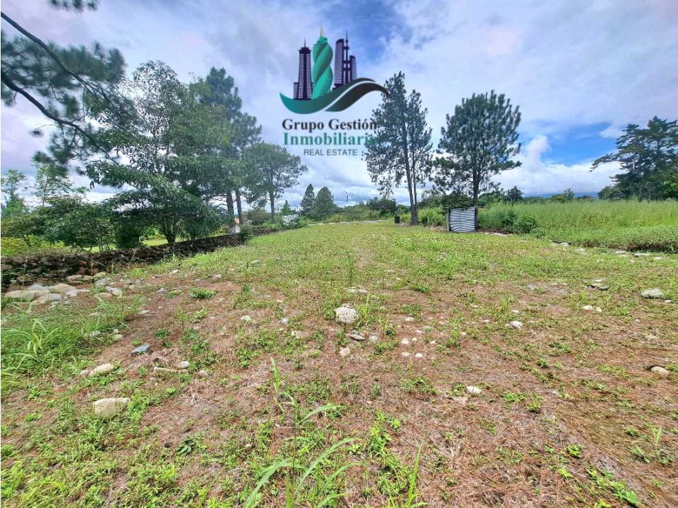 VENDO.LOTE COMERICIAL 813mts CALLE PRINCIPAL -Las trancas — foto 2