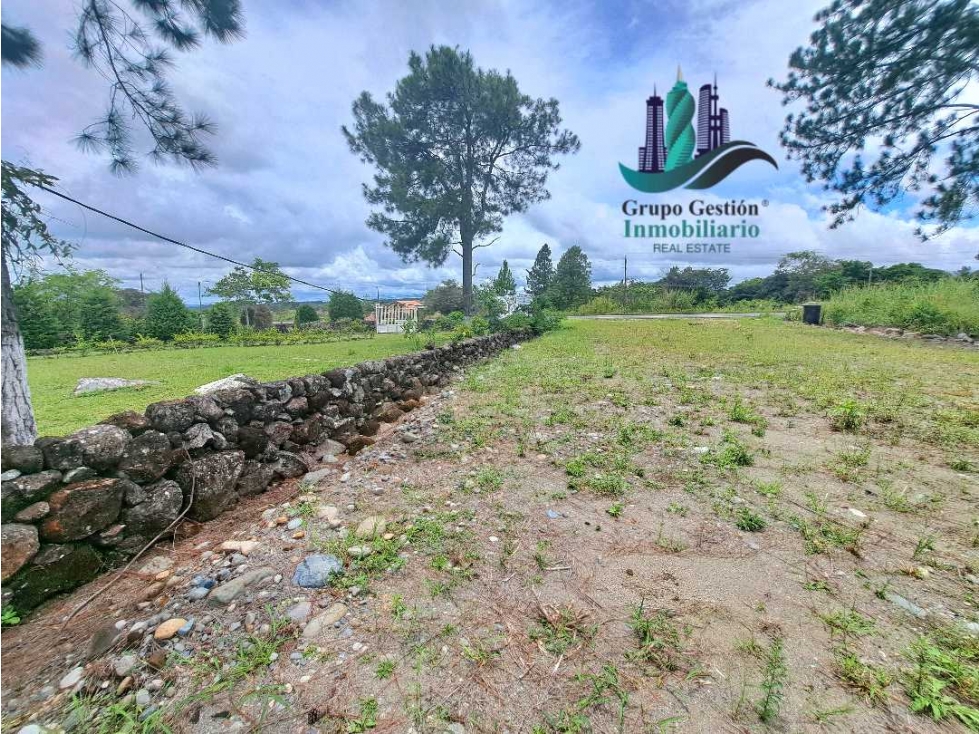 VENDO.LOTE COMERICIAL 813mts CALLE PRINCIPAL -Las trancas — foto 3