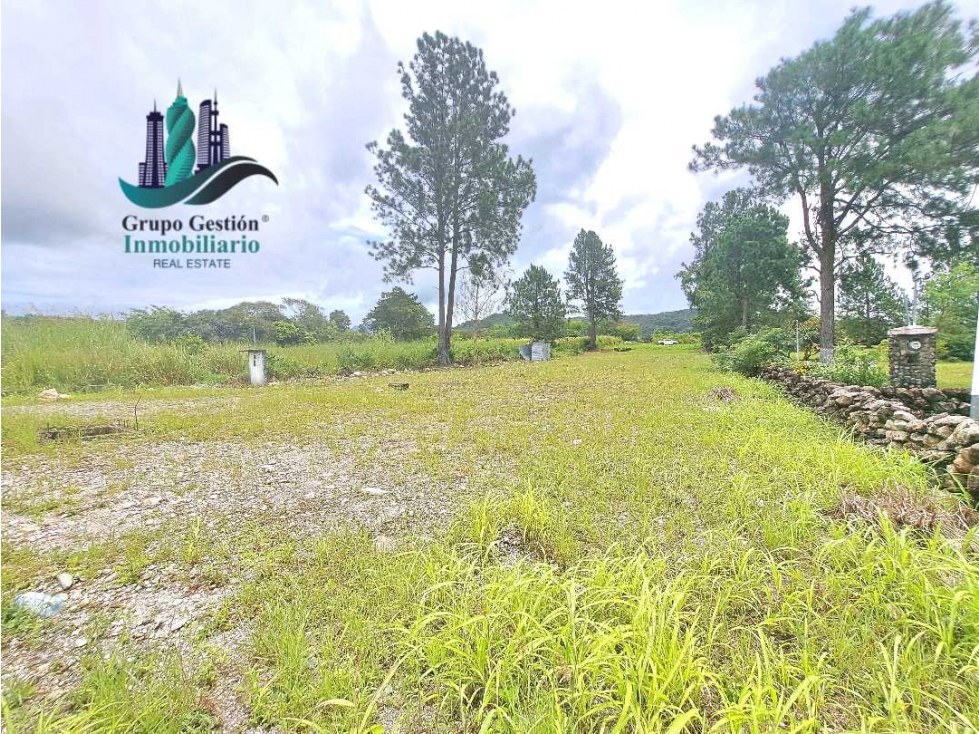 VENDO.LOTE COMERICIAL 813mts CALLE PRINCIPAL -Las trancas — foto 4