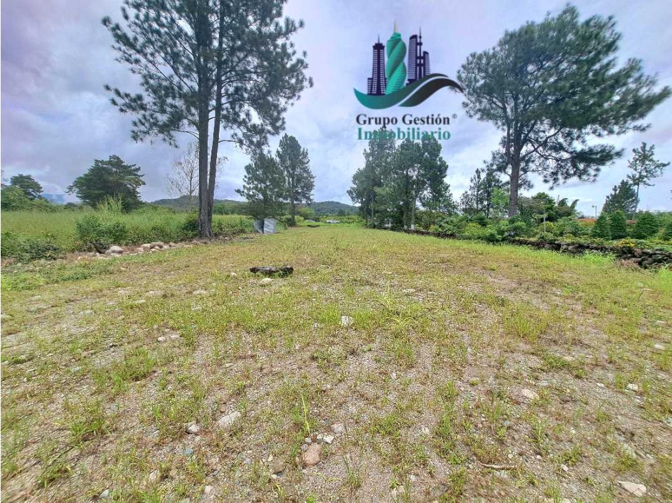 VENDO.LOTE COMERICIAL 813mts CALLE PRINCIPAL -Las trancas — foto 5