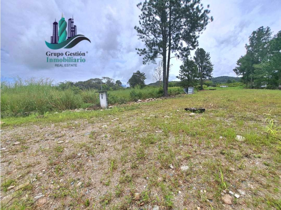VENDO.LOTE COMERICIAL 813mts CALLE PRINCIPAL -Las trancas — foto 6