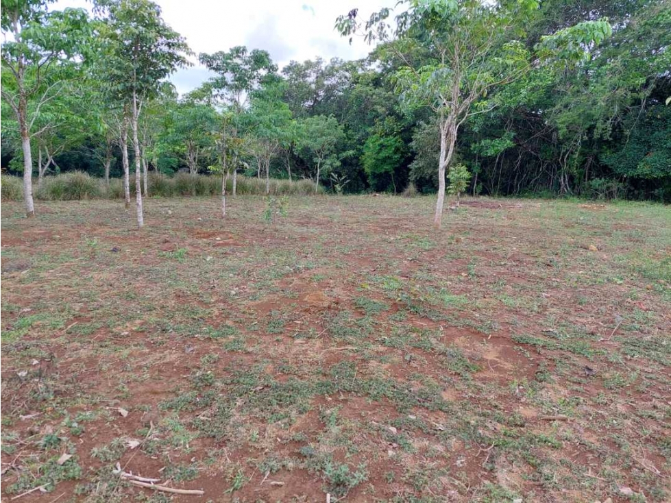 VENDO.LOTE EN.POTRERILLO ABAJO 8000 M2 - 3