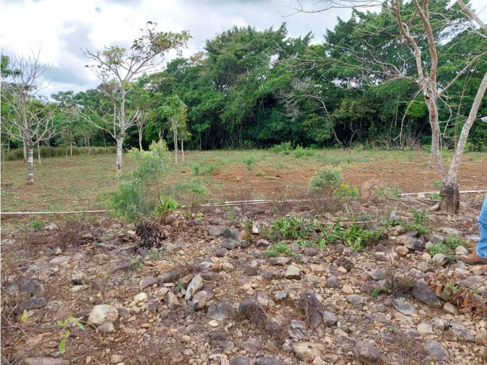 VENDO.LOTE EN.POTRERILLO ABAJO 8000 M2 - 4