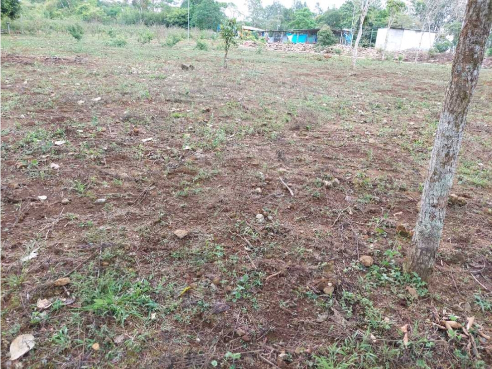 VENDO.LOTE EN.POTRERILLO ABAJO 8000 M2 - 5