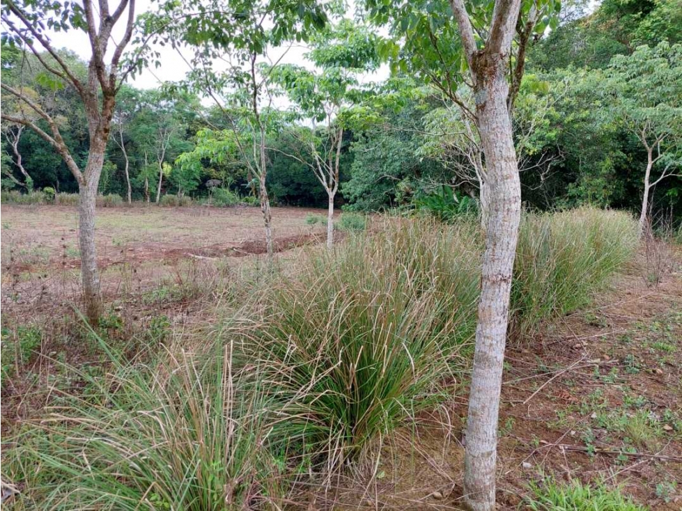 VENDO.LOTE EN.POTRERILLO ABAJO 8000 M2 - 6
