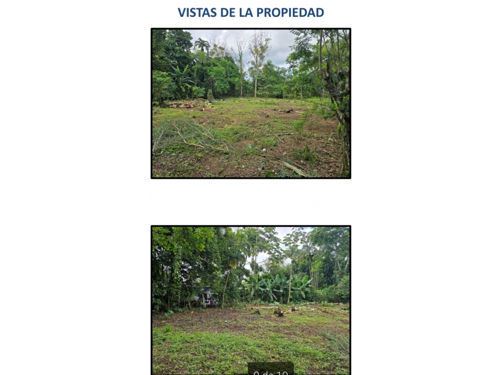 VENDO.LOTE TITULADO.DE.1400MTS SAN PEDRO - 5