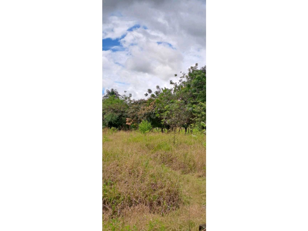 VENDO.LOTE.COMERCIAL.DE.5500MTS DOLEGA-POTRERILLOS-BQT. - 4