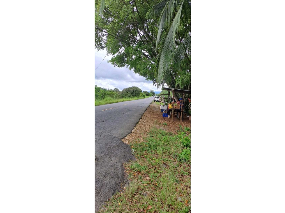 VENDO.LOTE.COMERCIAL.DE.5500MTS DOLEGA-POTRERILLOS-BQT. - 5