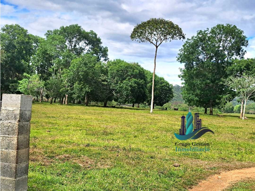 VENDO.LOTE.DE 45000MTS TOP.PLANA.IDEAL.PARA URBANIZAR - 1