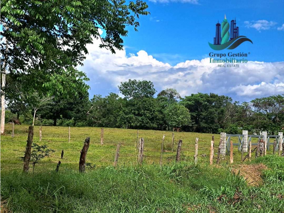 VENDO.LOTE.DE 45000MTS TOP.PLANA.IDEAL.PARA URBANIZAR - 2