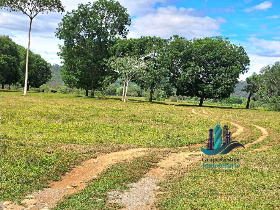 VENDO.LOTE.DE 45000MTS TOP.PLANA.IDEAL.PARA URBANIZAR - 3