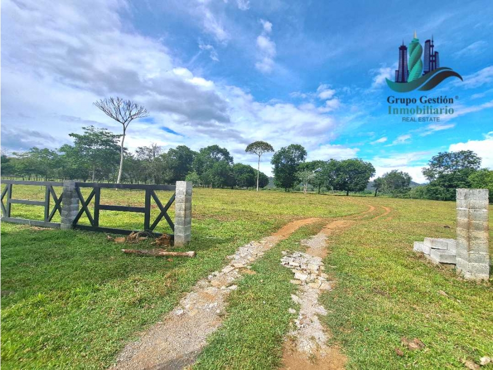 VENDO.LOTE.DE 45000MTS TOP.PLANA.IDEAL.PARA URBANIZAR - 4