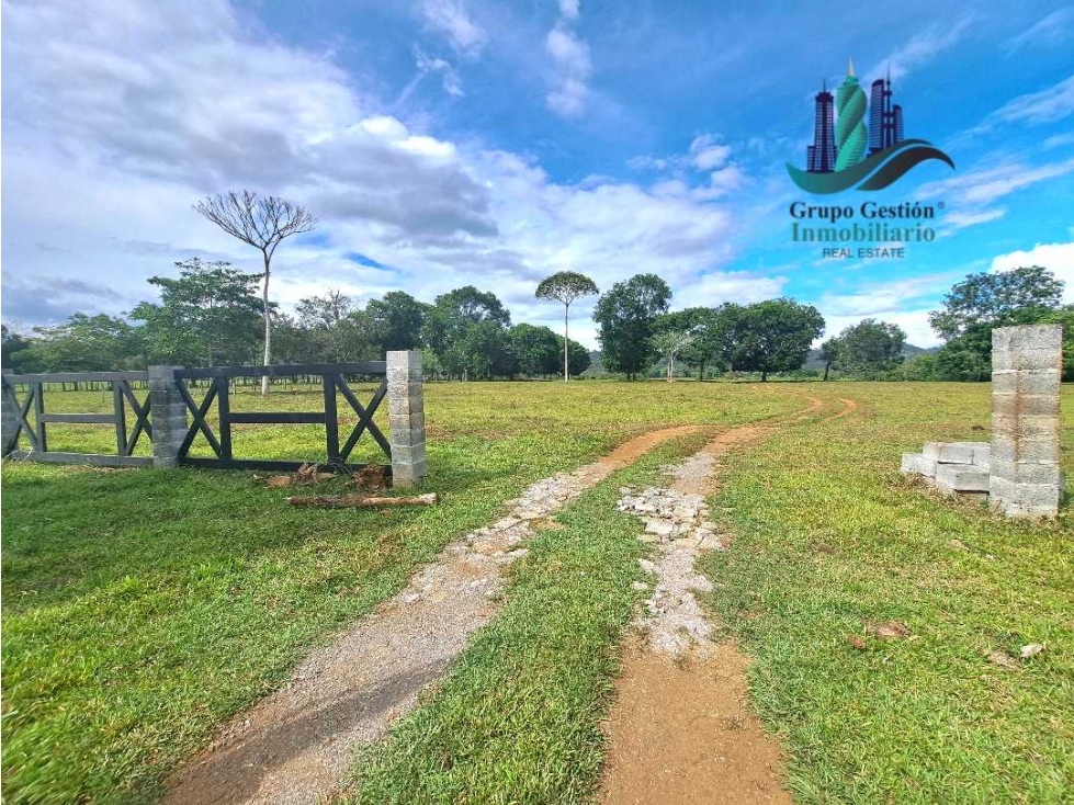 VENDO.LOTE.DE 45000MTS TOP.PLANA.IDEAL.PARA URBANIZAR - 5