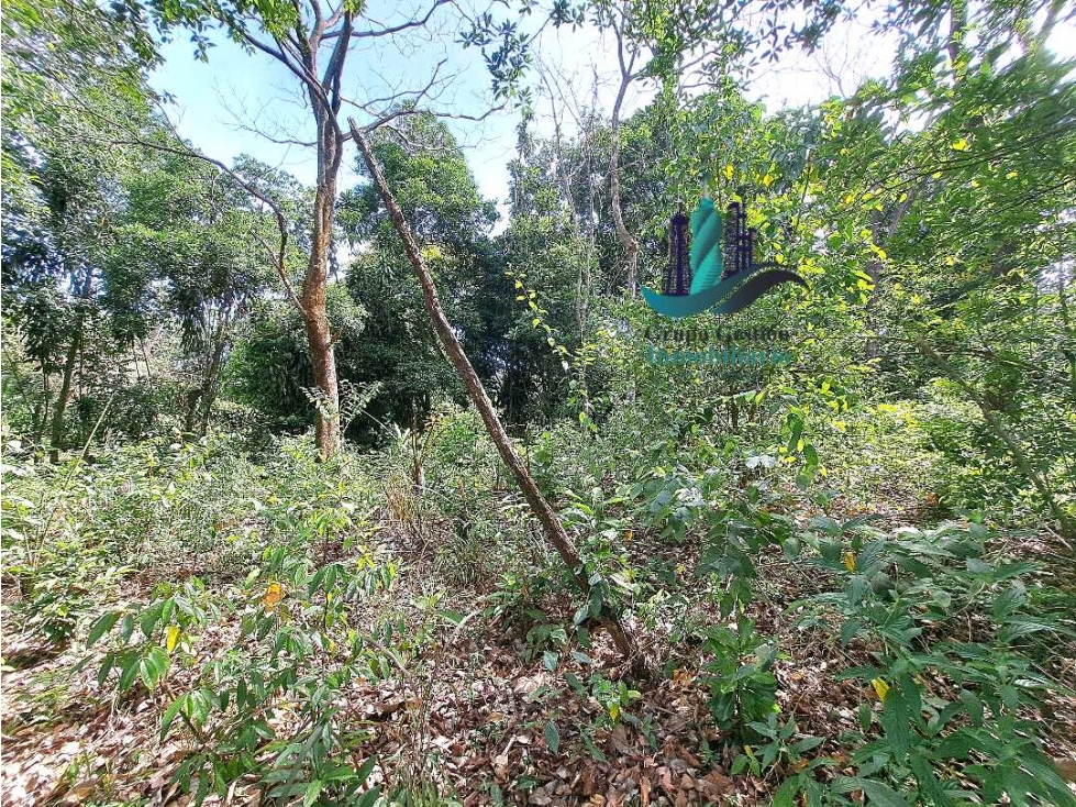 VENDO.LOTE.DE 5026MTS CALDERA — foto 4