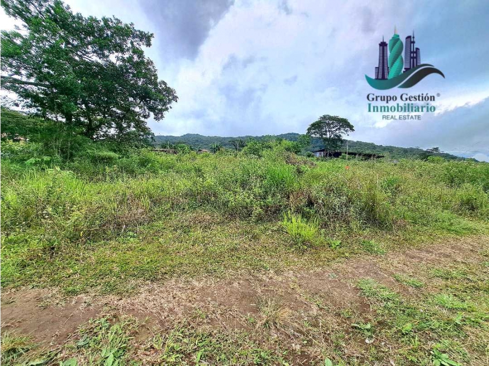 VENDO.LOTES DE 950MTS ALTO.BOQUETE — foto 3