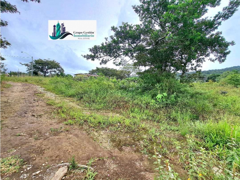 VENDO.LOTES DE 950MTS ALTO.BOQUETE — foto 4