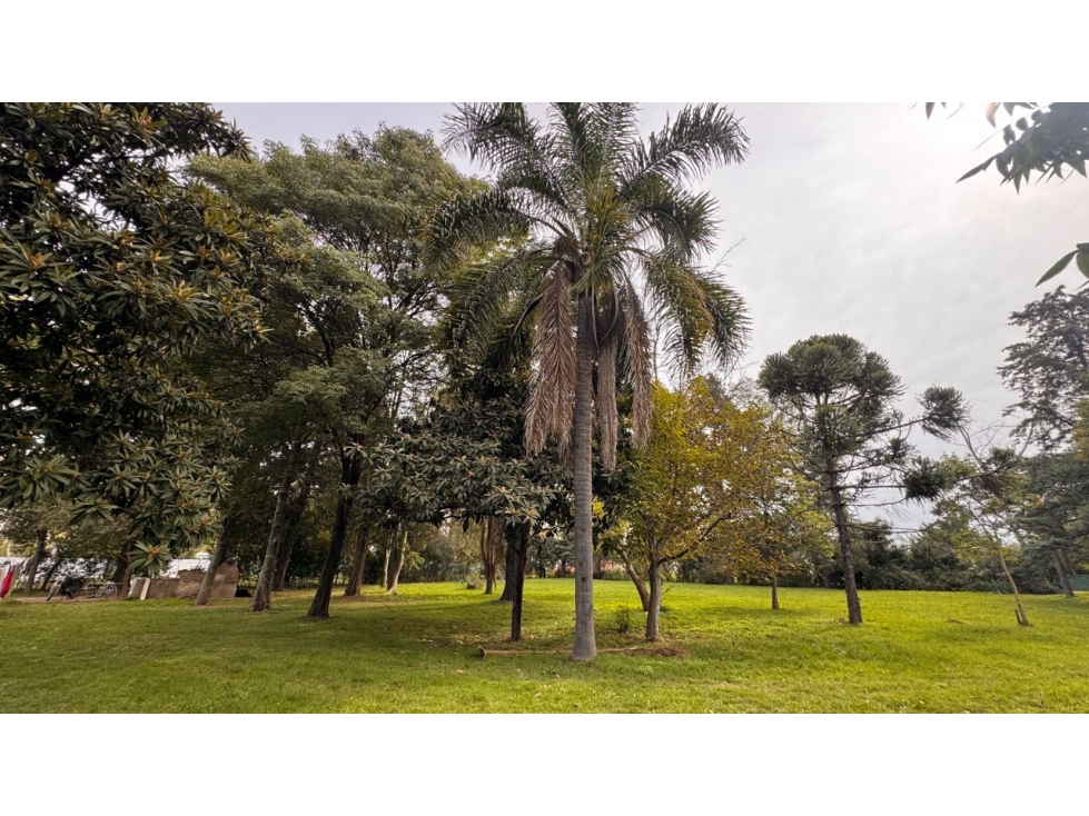 Venta casa quinta- Mariano acosta -Merlo - 4