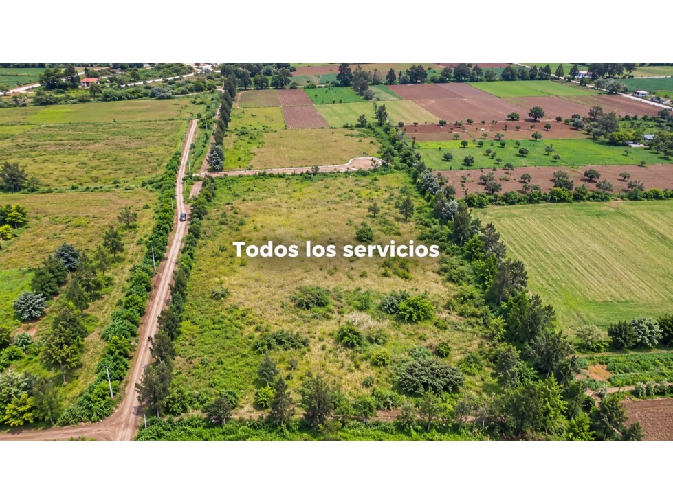 Terreno en Venta en Puembo - 4