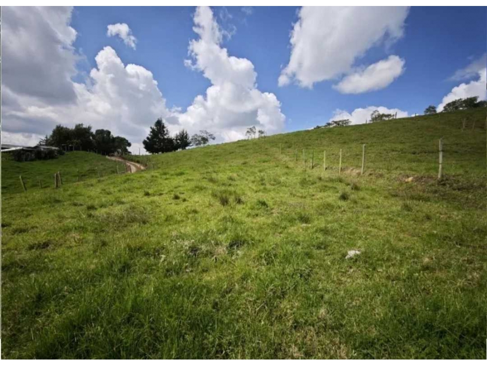 Venta 20 Lotes Rurales San Pedro de los Milagros Antioquia