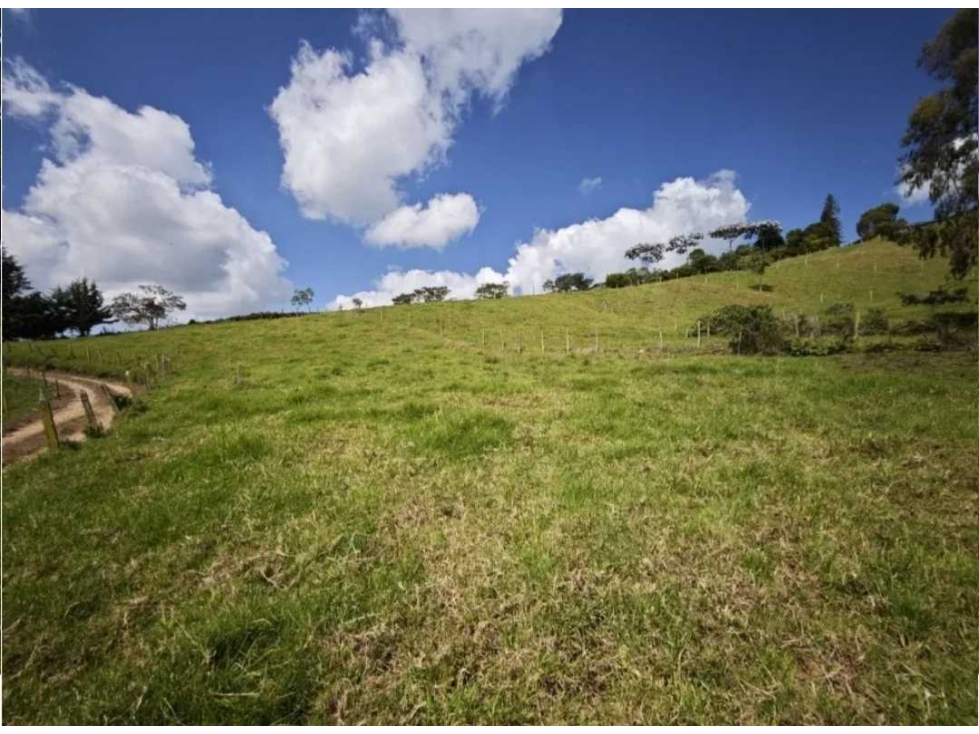 Venta 20 Lotes Rurales San Pedro de los Milagros Antioquia — foto 2