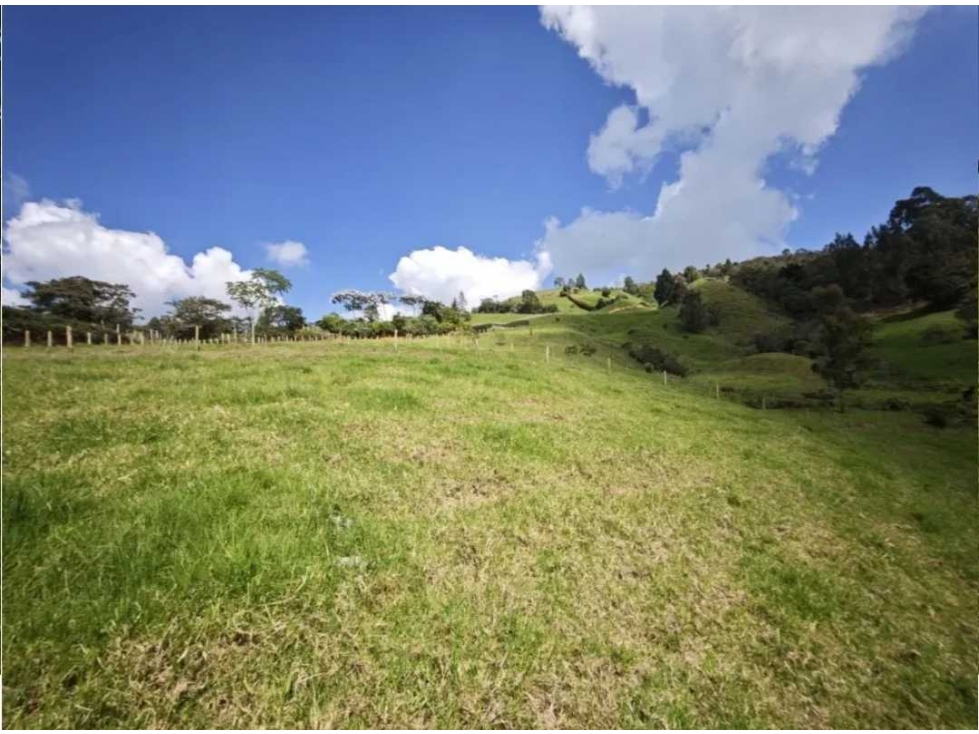 Venta 20 Lotes Rurales San Pedro de los Milagros Antioquia — foto 3