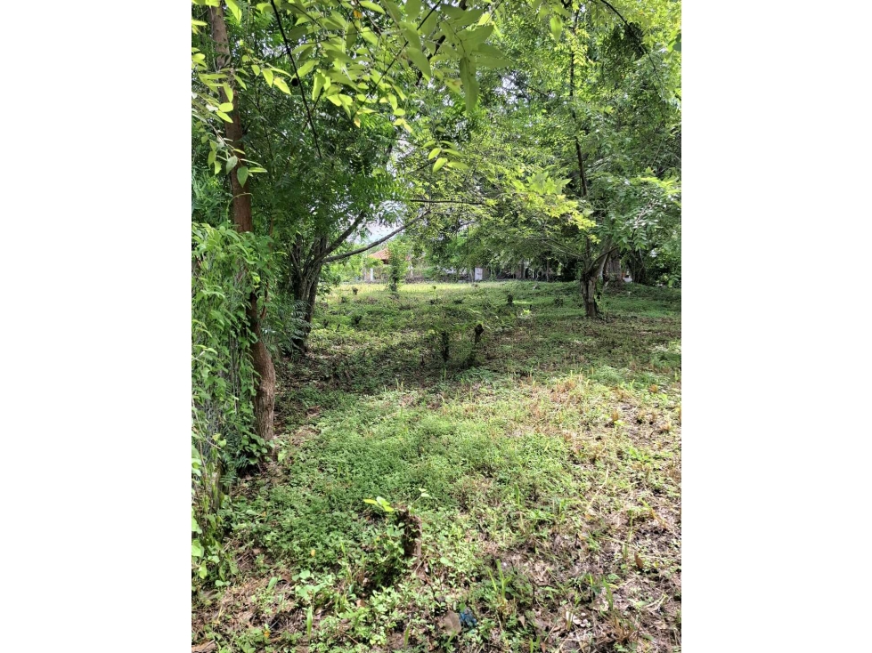 VENTA 2 LOTES PLANOS 1700M2 EN LA ENTRADA DEL PUEBLO DE SAN CARLOS