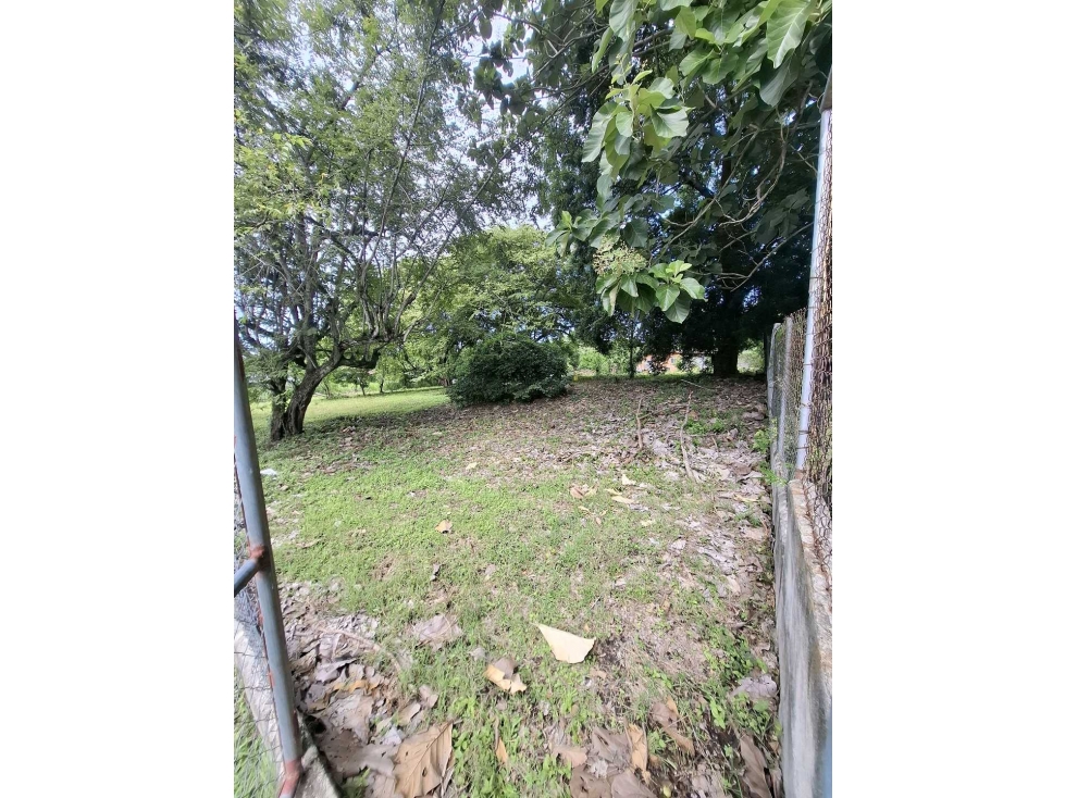 VENTA 2 LOTES PLANOS 1700M2 EN LA ENTRADA DEL PUEBLO DE SAN CARLOS — foto 2