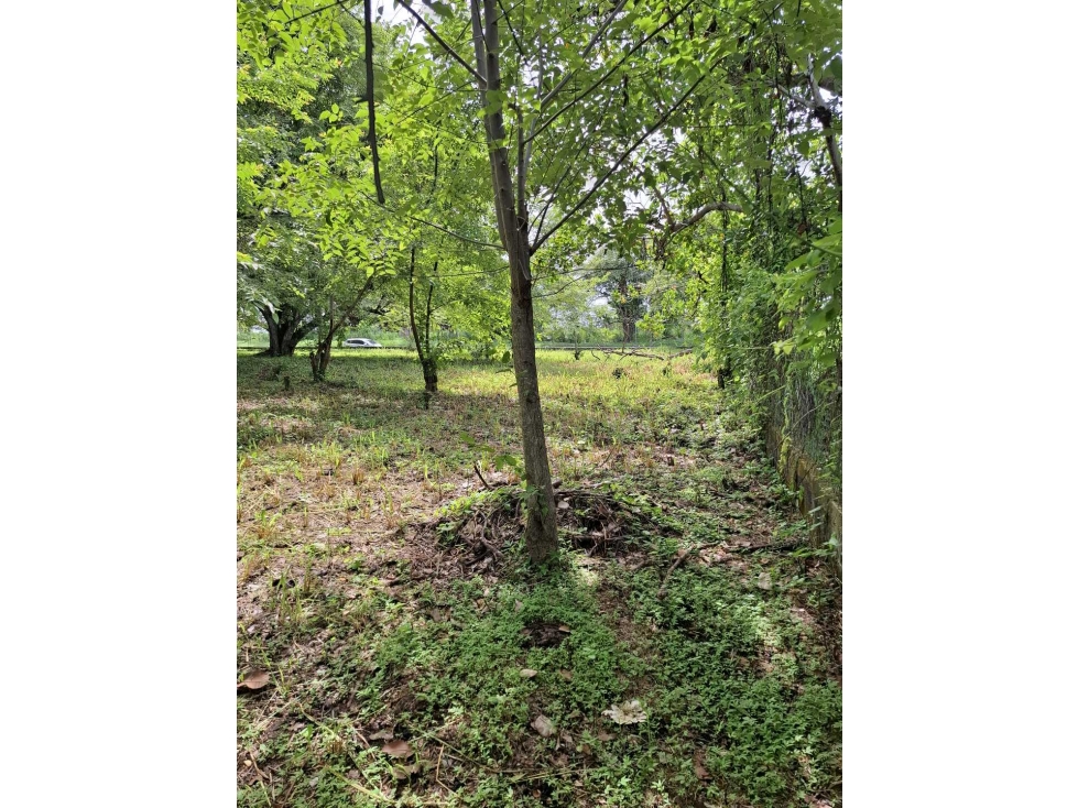 VENTA 2 LOTES PLANOS 1700M2 EN LA ENTRADA DEL PUEBLO DE SAN CARLOS — foto 3
