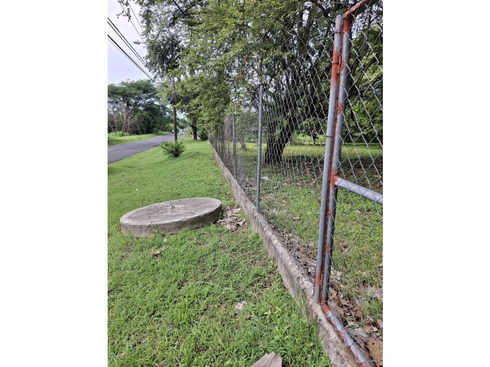 VENTA 2 LOTES PLANOS 1700M2 EN LA ENTRADA DEL PUEBLO DE SAN CARLOS — foto 5