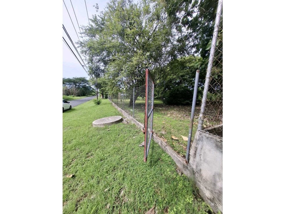 VENTA 2 LOTES PLANOS 1700M2 EN LA ENTRADA DEL PUEBLO DE SAN CARLOS — foto 6