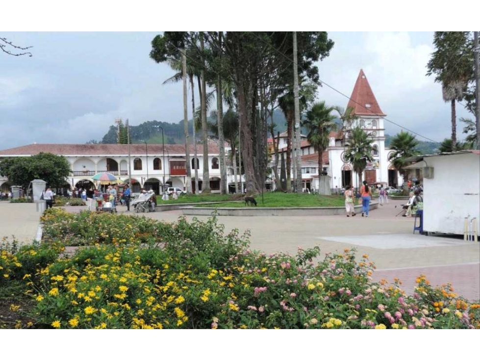 Venta Apartamento 3 alcobas Centro Villamaria Caldas