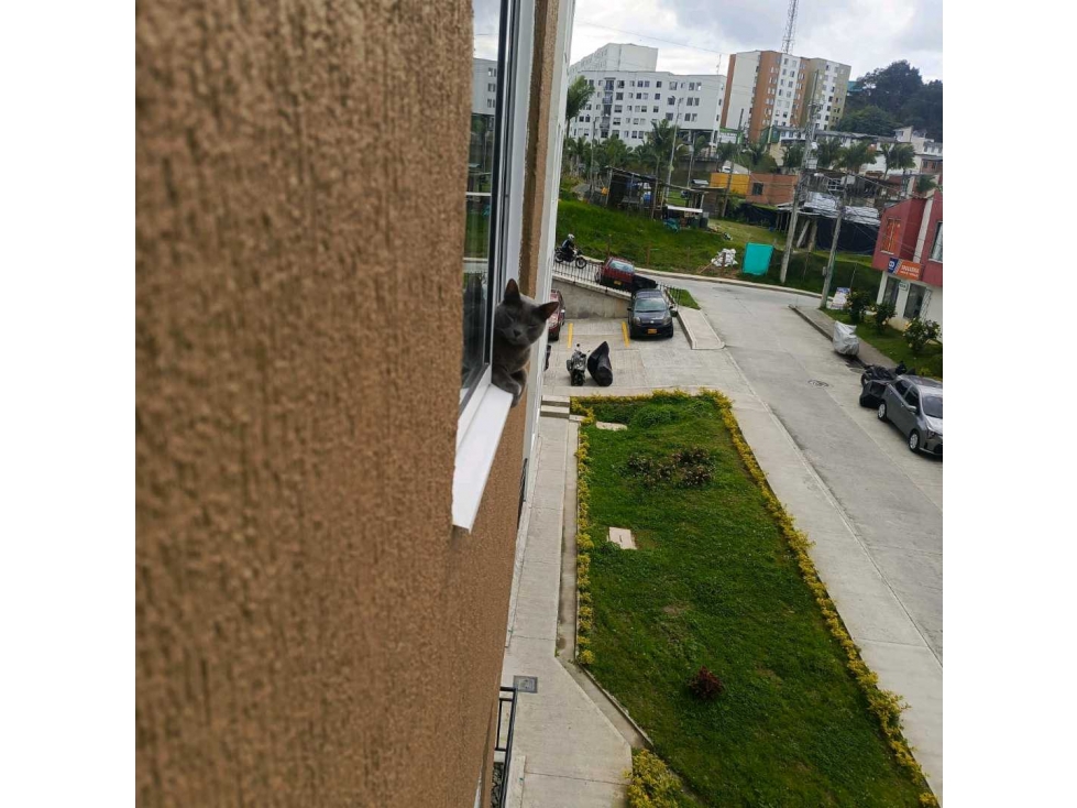 Venta Apartamento 3 alcobas Puerta Del Sol Manizales — foto 5