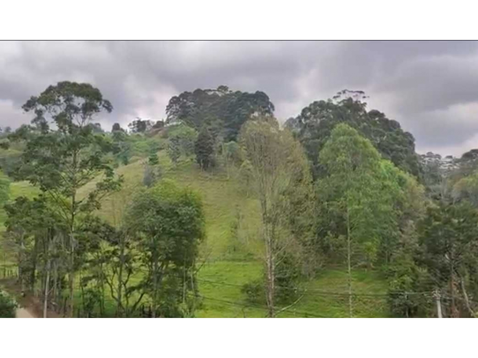 VENTA APARTAMENTO CAMPESTRE- ESTRELLA- TABLAZA VISTA PANORÁMICA BOSQUE — foto 6