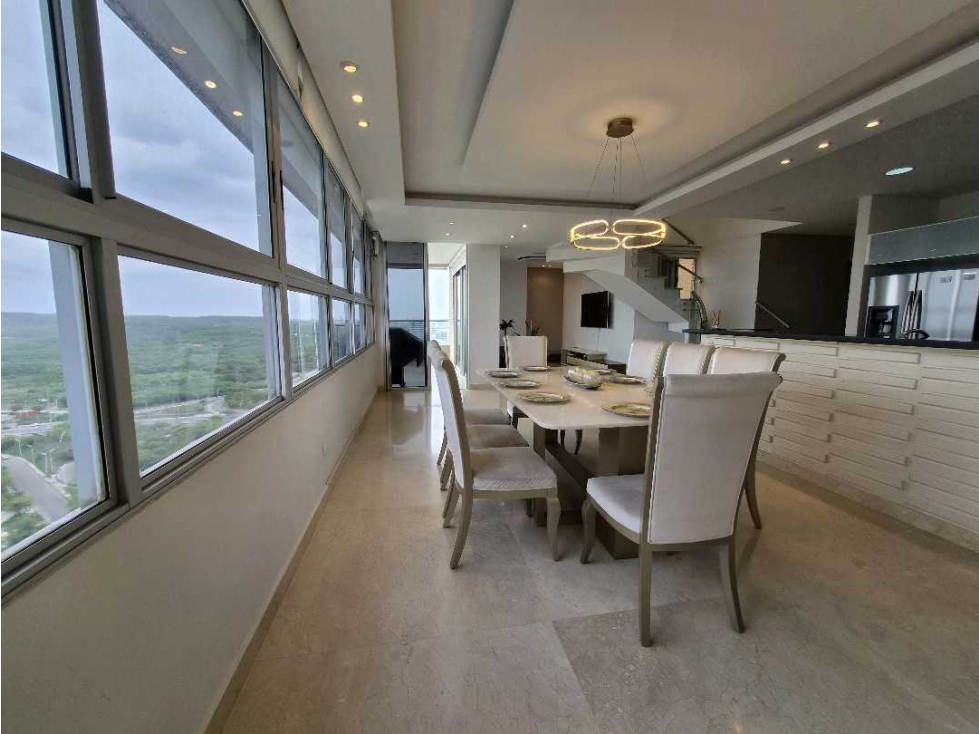 Venta Apartamento Duplex Penthouse — foto 3