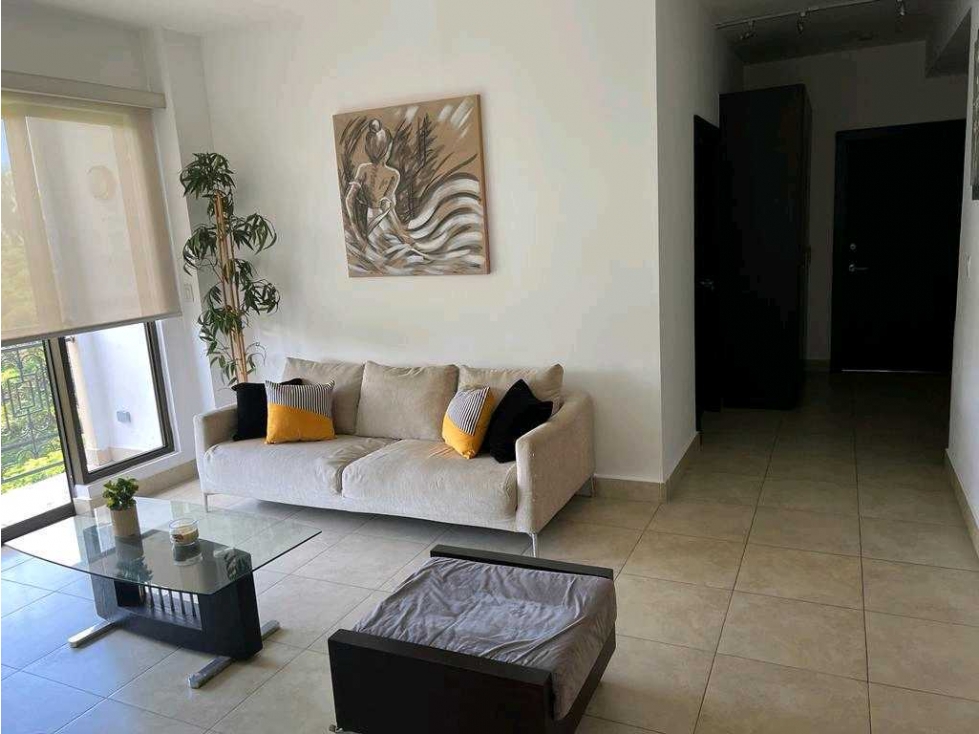 VENTA APARTAMENTO EDIFICO AMADOR HEIHTS 150M2 2R OPORTUNIDAD — foto 4