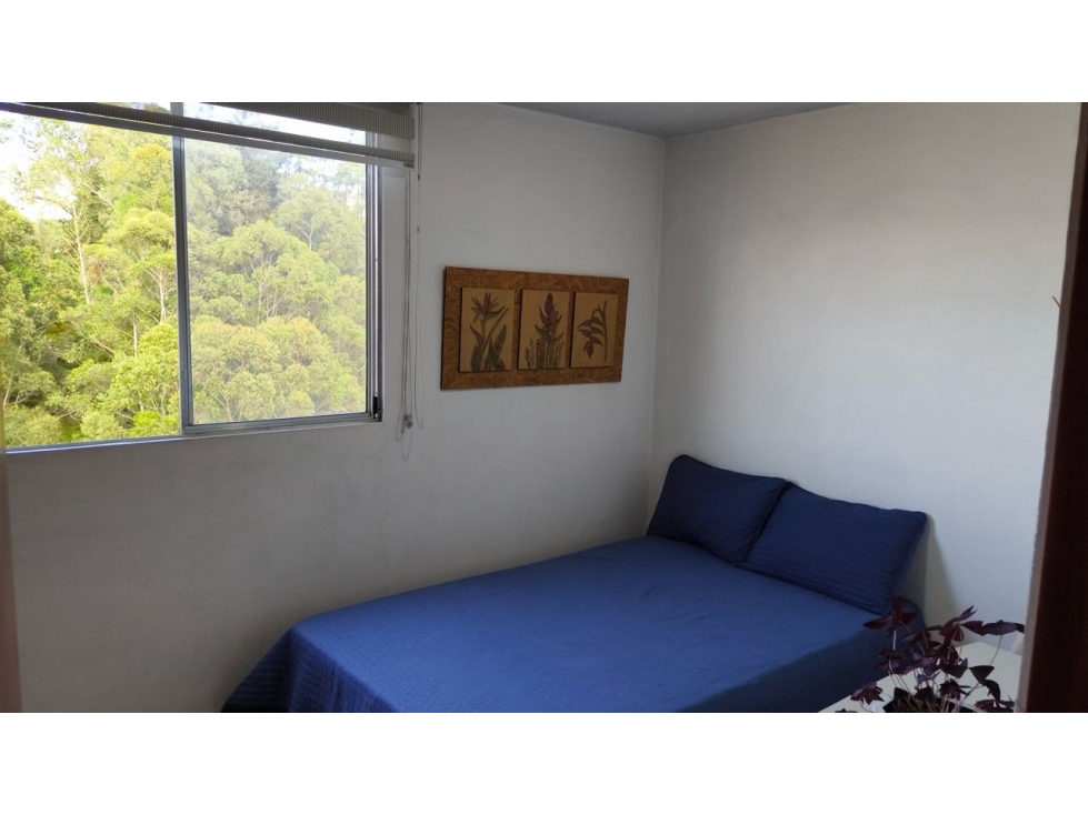 Venta apartamento en San Diego campestre — foto 6