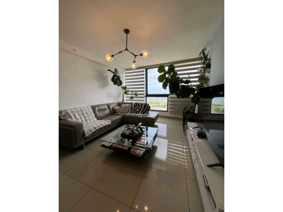 VENTA APARTAMENTO SAN FRANCISCO BAY 113 MTS SAN FRANCISCO YM