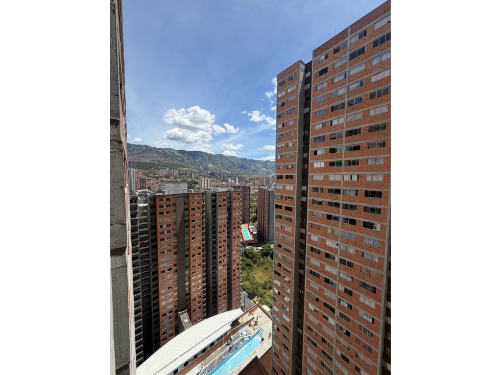 Venta apto madera nativa/ Bello madera obra gris