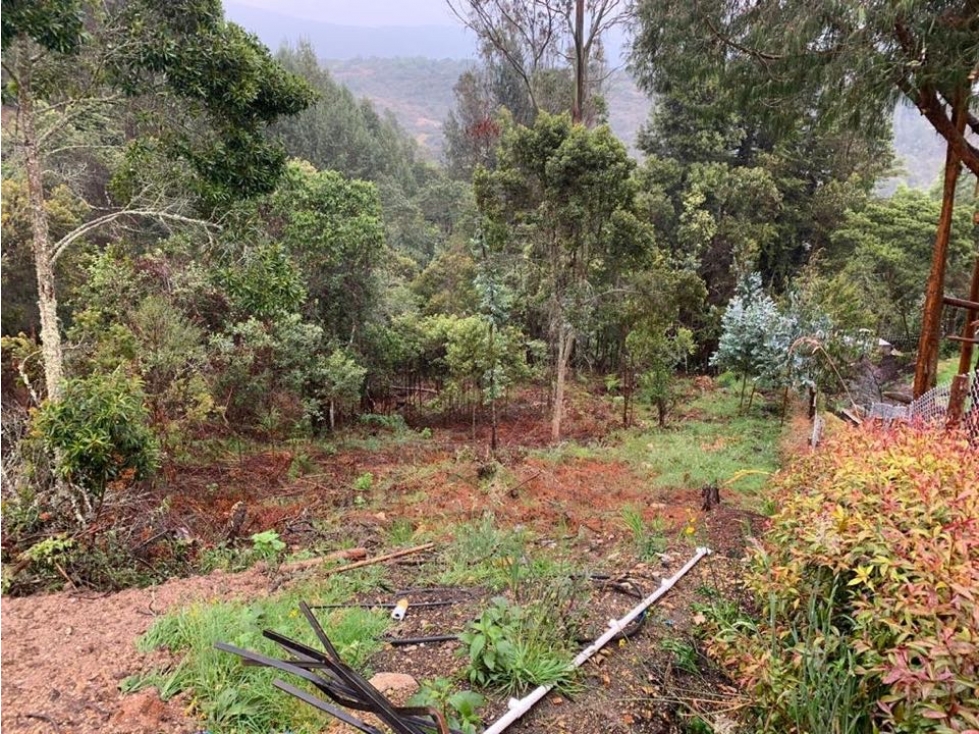VENTA CALERA LOTE 1800mts $550 M - 4