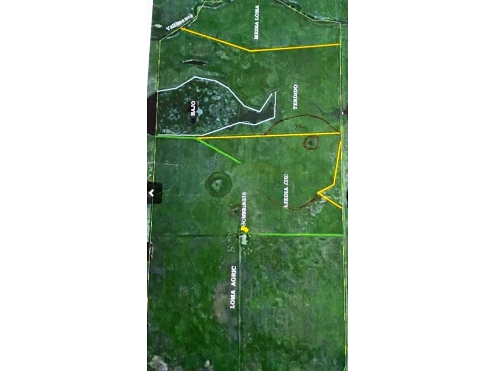VENTA CAMPO 330 HECTAREAS AGRICOLAS, BOLIVAR, BUENOS AIRES, ARGENTINA - 2