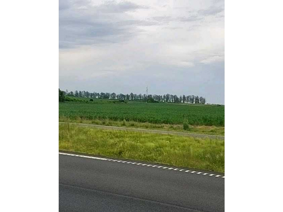 VENTA CAMPO 63 HECTAREAS, AGRICOLA, PERGAMINO, BUENOS AIRES, ARGENTINA - 1