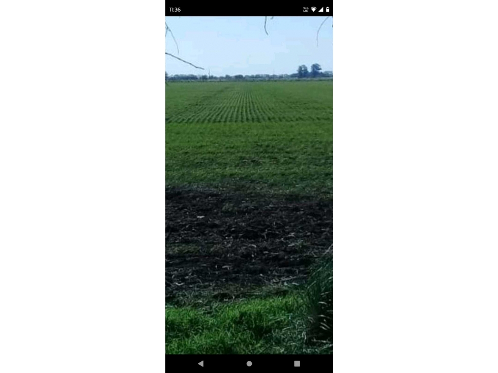 VENTA CAMPO CAÑUELAS, PCIA DE BUENOS AIRES, ARGENTINA - 1