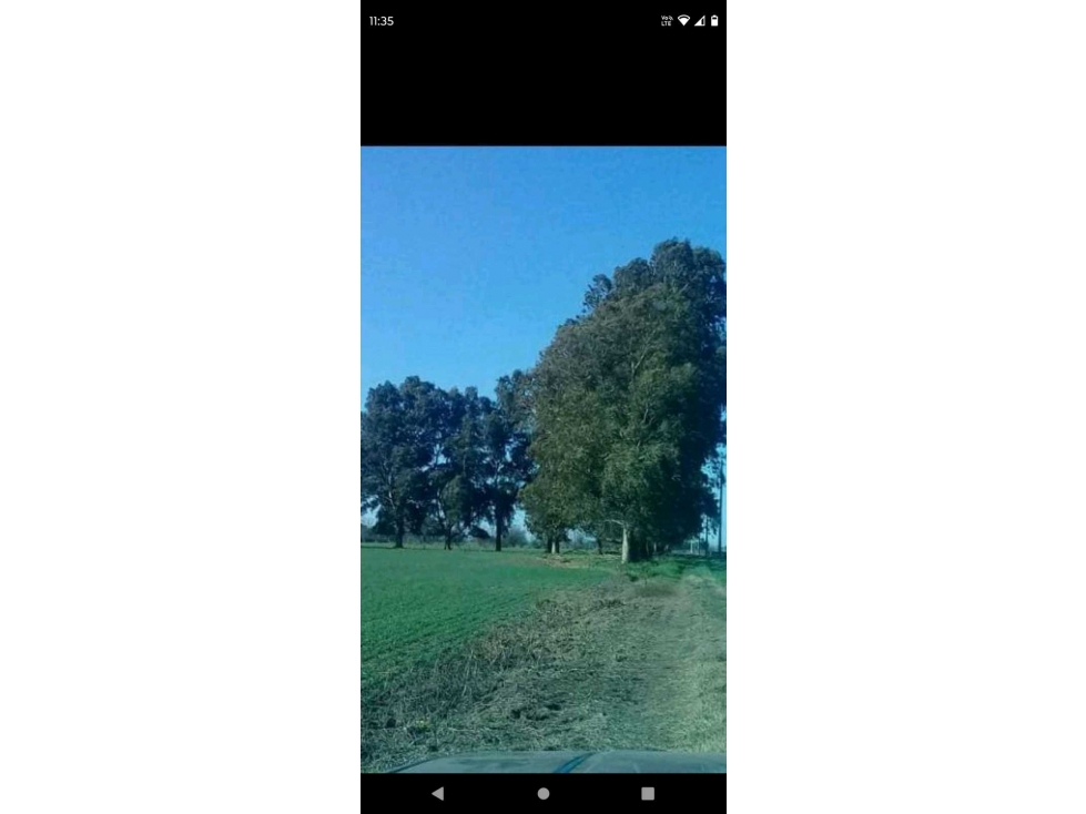 VENTA CAMPO CAÑUELAS, PCIA DE BUENOS AIRES, ARGENTINA - 2