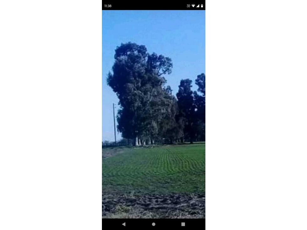 VENTA CAMPO CAÑUELAS, PCIA DE BUENOS AIRES, ARGENTINA - 3